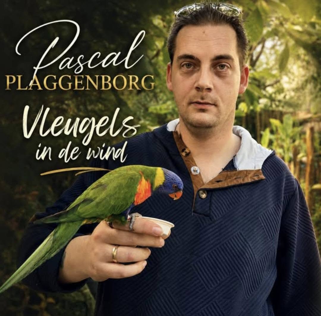 Pascal Plaggenborg - Vleugels in de wind